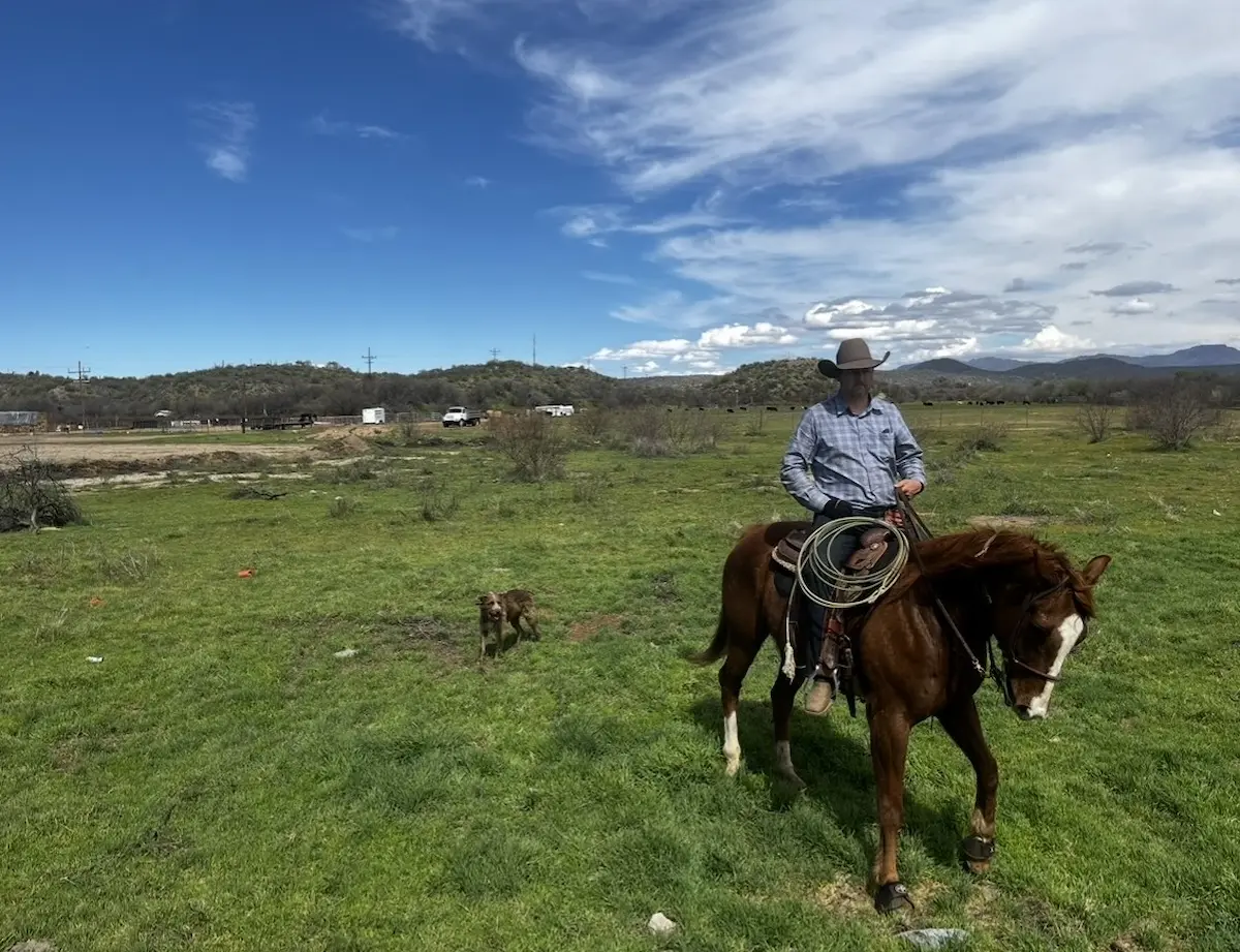 Powell Parker riding sorrel horse with Demon the cattle dog trotting alongside