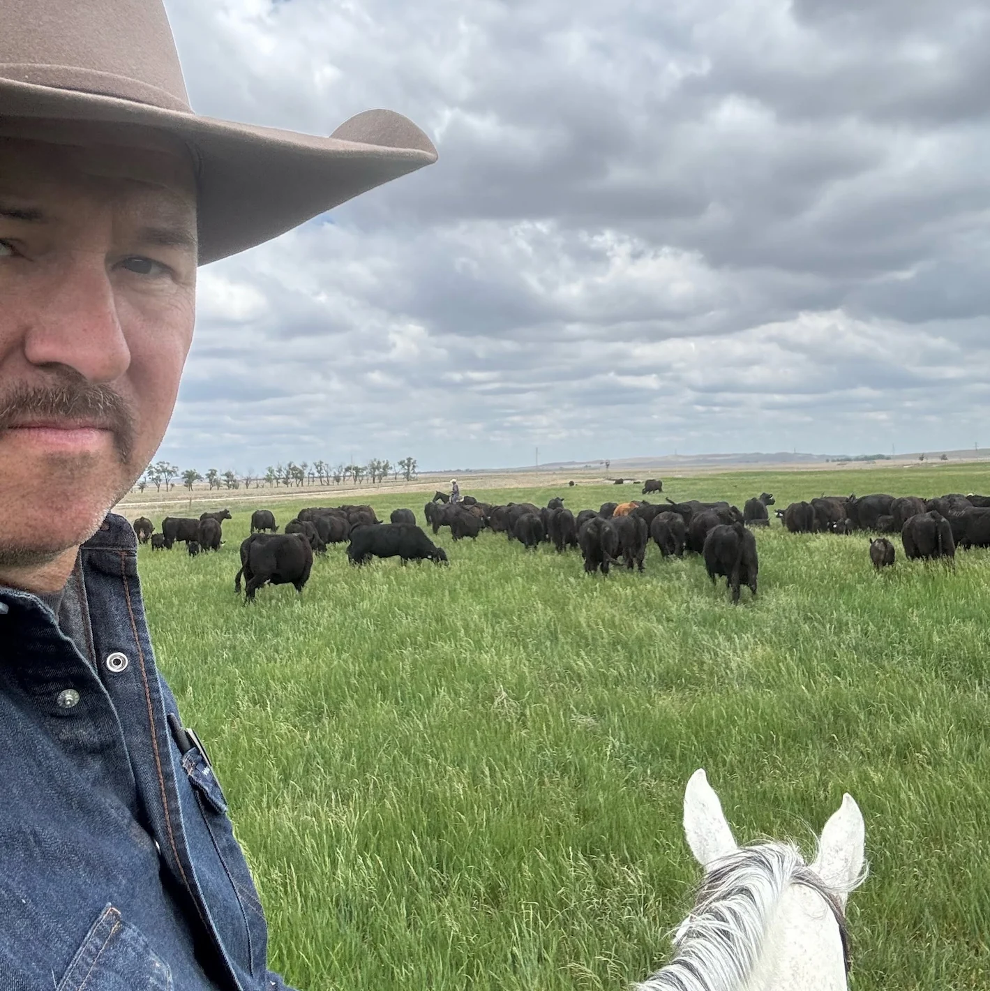 Powell Parker gathering black Angus cattle on horseback under vast open skies