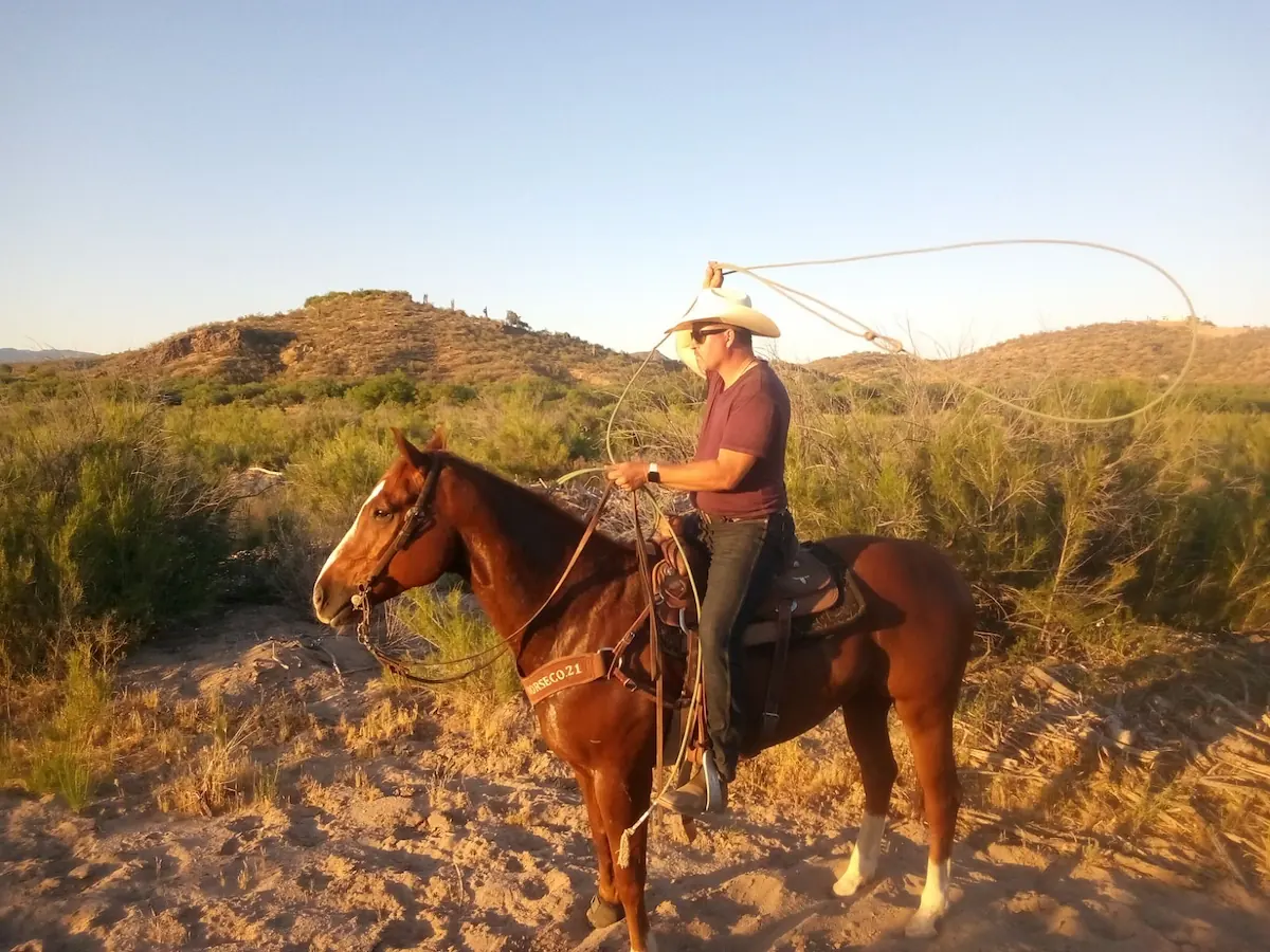 Powell Parker swinging a rope horseback at golden hour in the Arizona desert